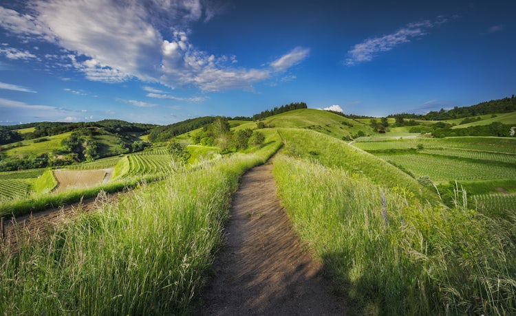 John 145 6 Daily Bible Inspirations John 145 6 Daily Bible Inspirations