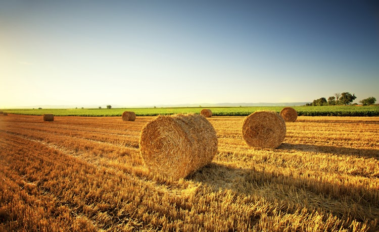 John 145 6 Daily Bible Inspirations John 145 6 Daily Bible Inspirations